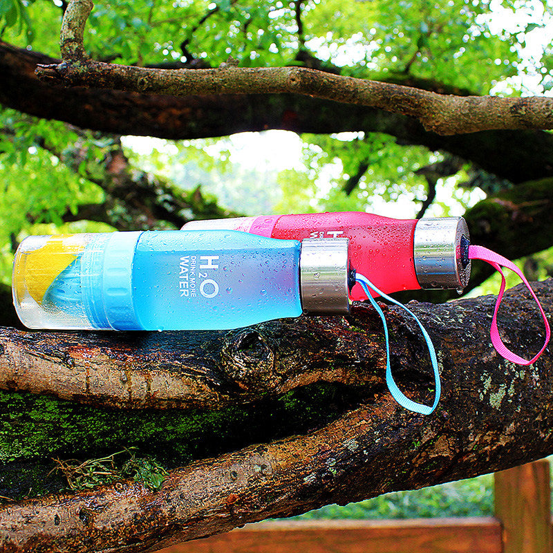 Travel Infusion Bottle